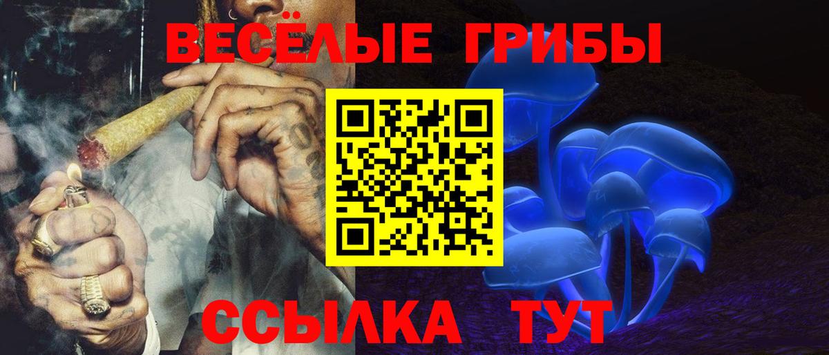 Тайшет  Галлюциногенные грибы прущие грибы  Вход с VPN 