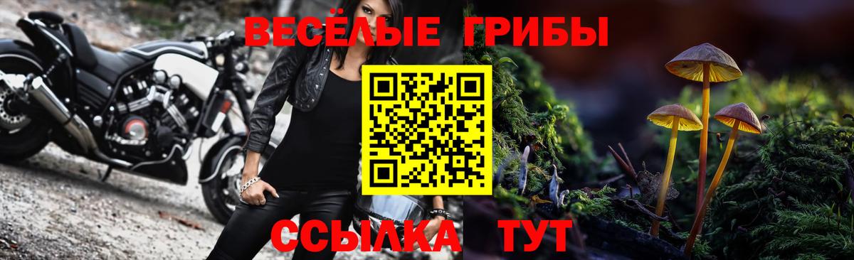 Галлюциногенные грибы прущие грибы Тайшет